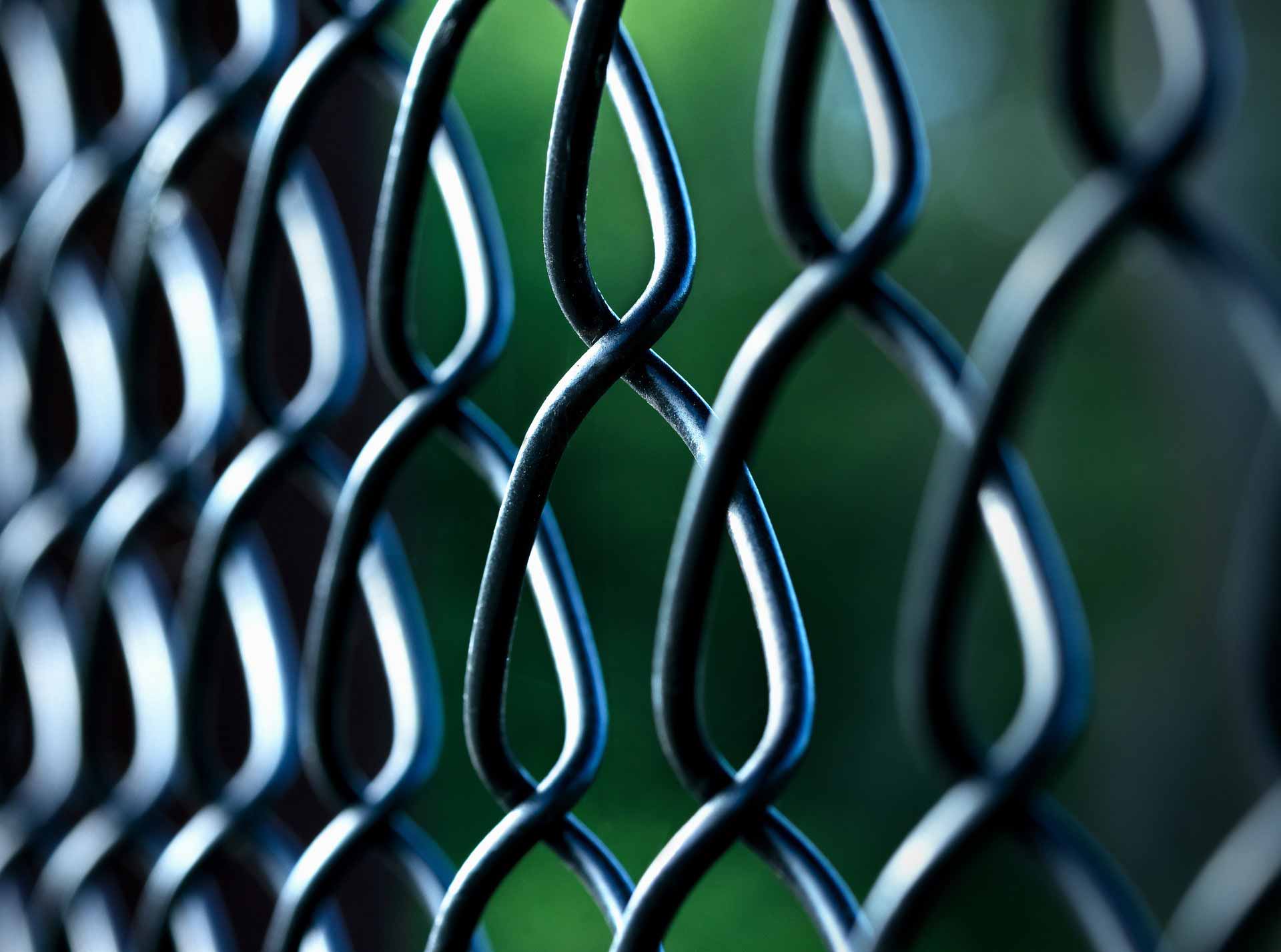 Close-up on chain link fence